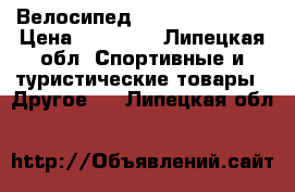 Велосипед Stels Miss 5300 › Цена ­ 16 000 - Липецкая обл. Спортивные и туристические товары » Другое   . Липецкая обл.